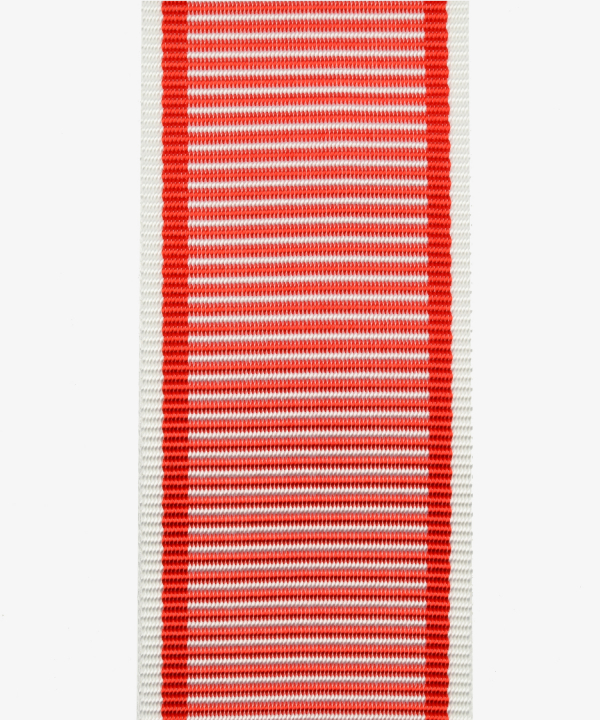 Austria, Military Cross of Merit (122)